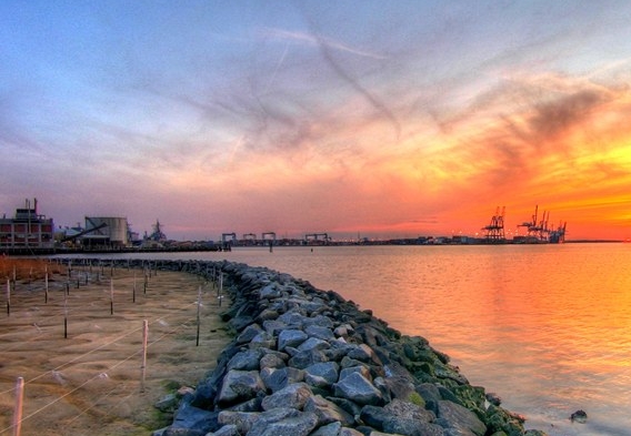 粉象怎么换邀请码