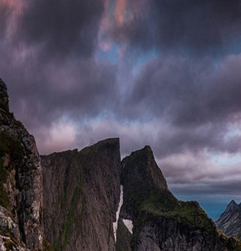 粉象生活骗局大揭秘