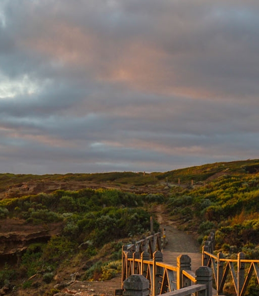 粉象生活馆真的假的