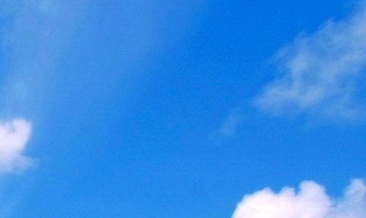 100元购物卡怎么用