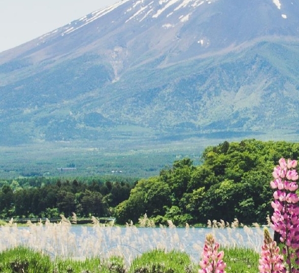 粉象生活还可以发展吗