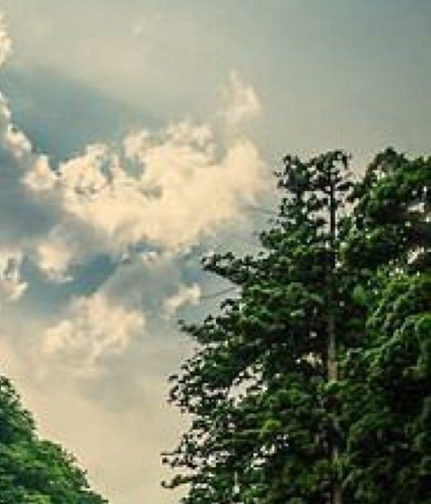 天天领现金攻略