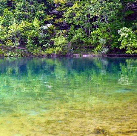 探蜜约会真的还是假的