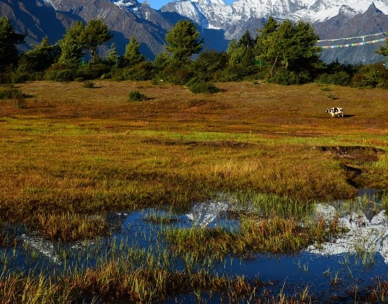 粉象生活天天领现金怎么弄