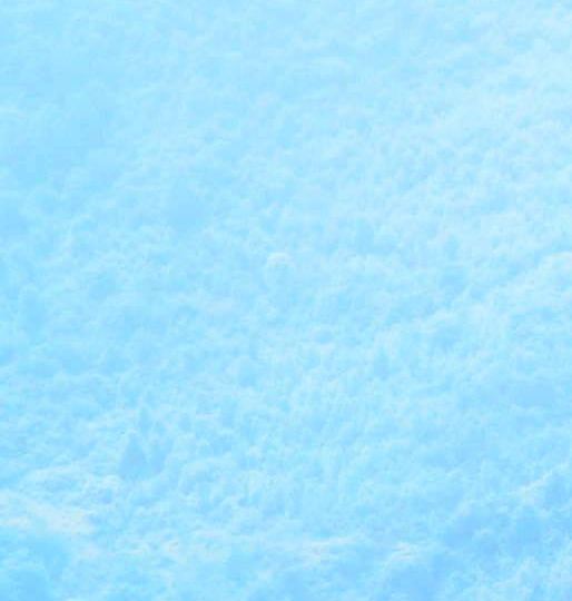 粉象生活干嘛的