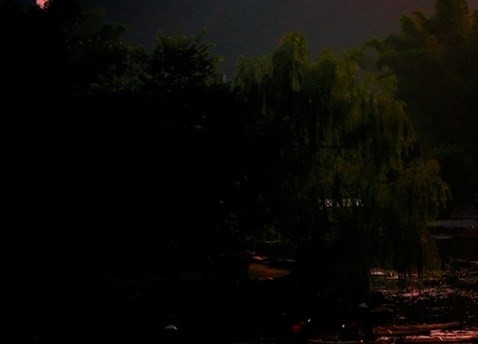 粉象生活招商加盟费多少