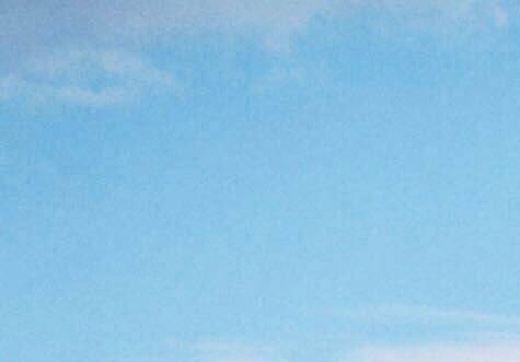 传销处罚