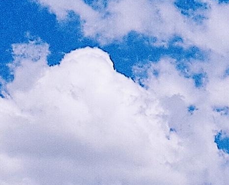 粉象生活是个什么东西