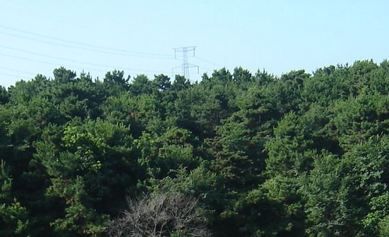 丽水有谁知道粉象生活邀请码