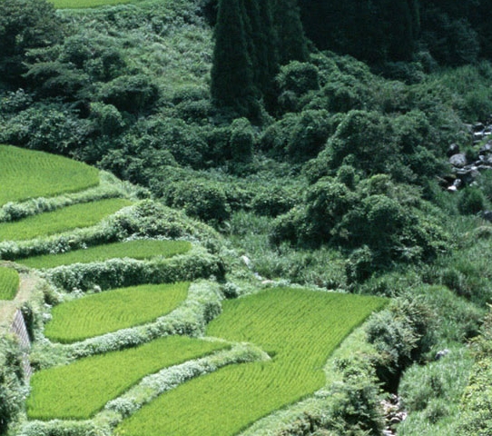 粉象生活微信登录不上