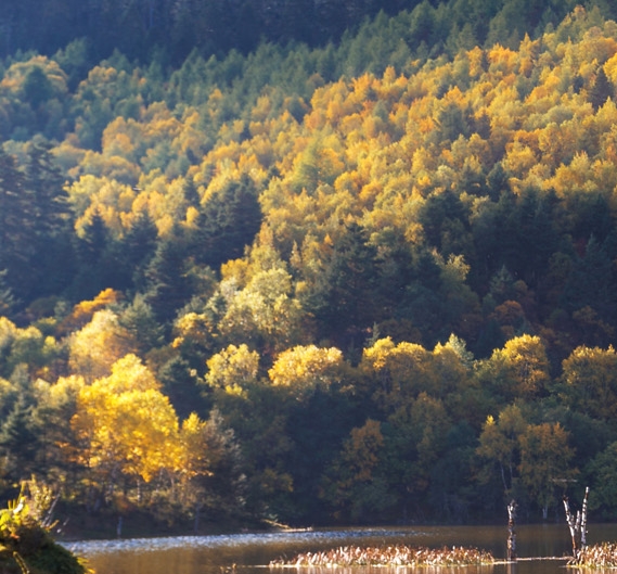 粉象生活怎么关闭支付宝收款