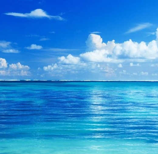 粉象生活是真的假的