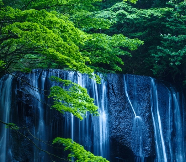 填充团队