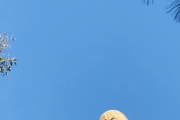 宜春唢呐团队