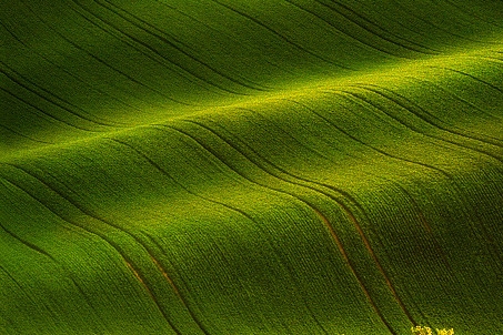 粉象生活朋友圈背景图