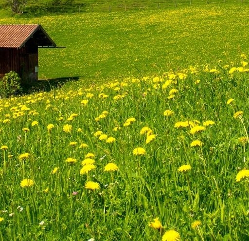 丽水有谁知道粉象生活市场行情