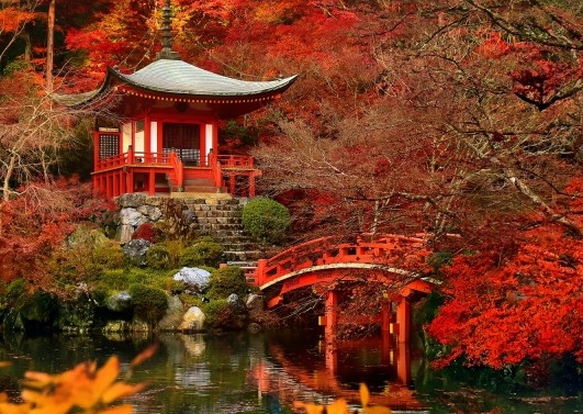 京东白金条不使用不关闭会影响征信么