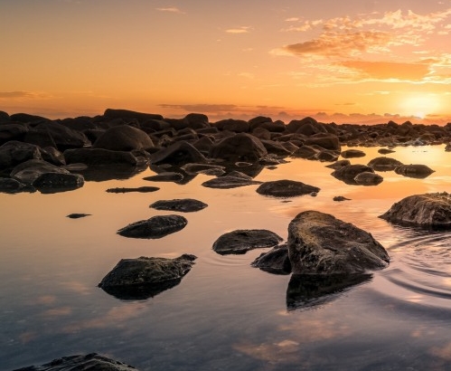 粉象生活注册的商家有哪些