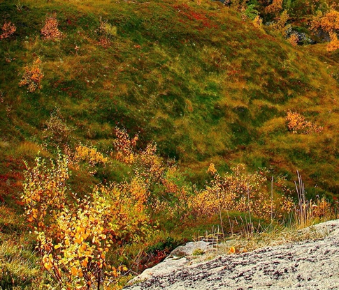 粉象生活如何赚钱