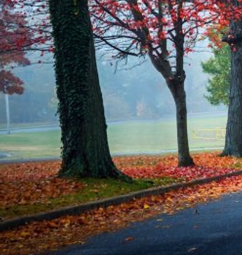 粉象生活怎么赚钱