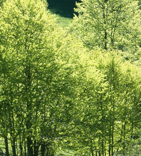 粉象生活下载官方正版