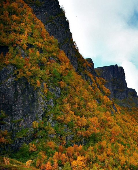粉象生活小趣购