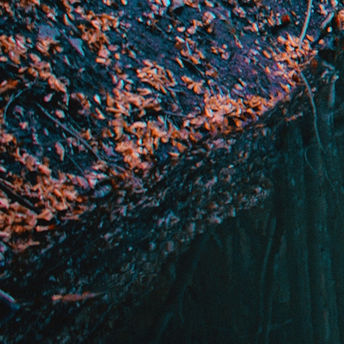 粉象生活官方APP邀请码