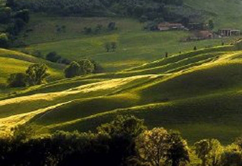 粉象生活下载官方正版