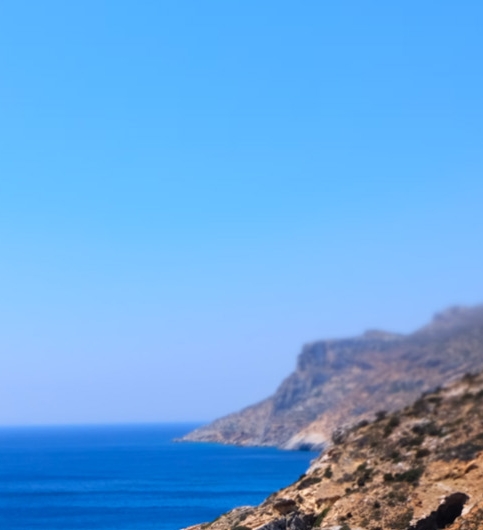 粉象生活联合创始人庚