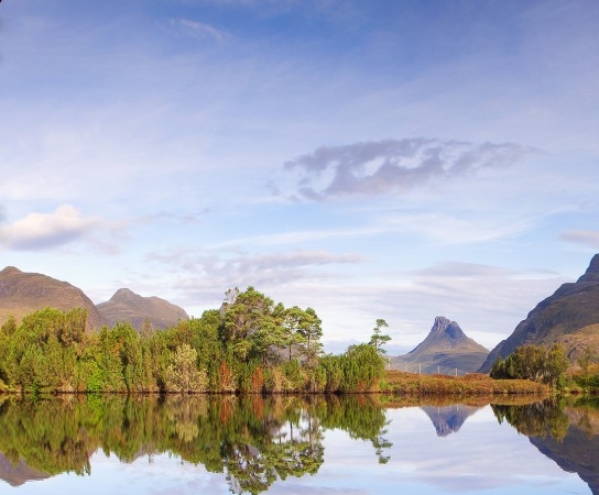 粉象生活怎么注册团队会员