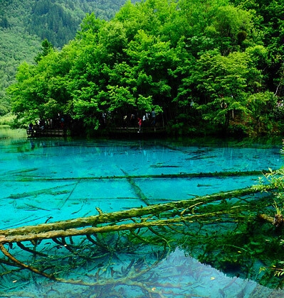 粉象生活新手怎么做