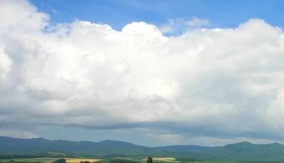 粉象生活APP怎么赚钱