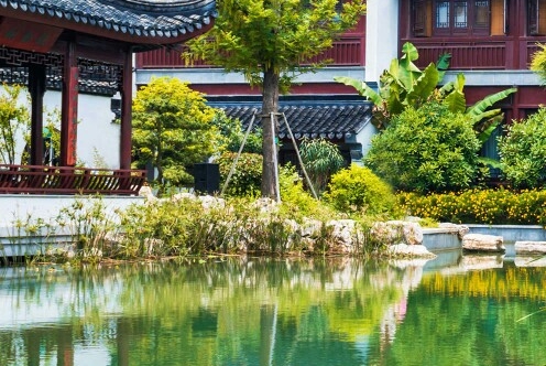 京东粉象生活解除