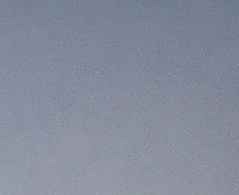 粉象生活 悠然团队