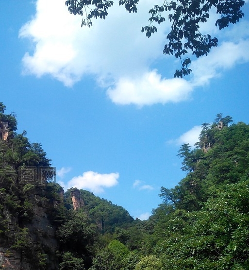 粉象生活北鹏团队