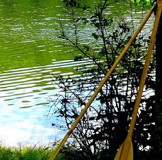 粉象生活下载app