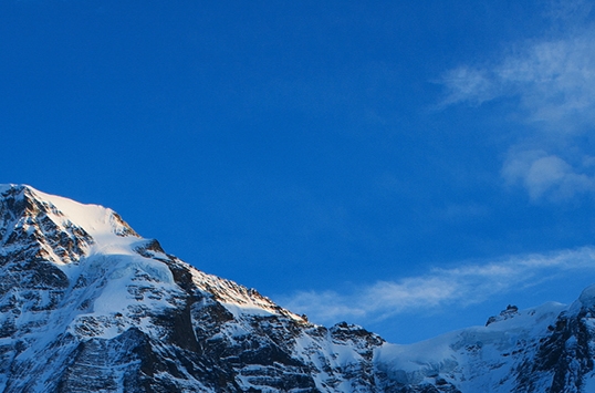 粉象生活下载app