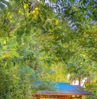 粉象生活怎么赚钱教程