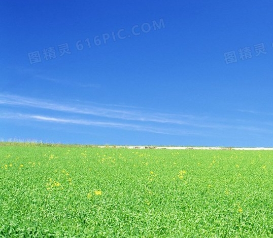 云浮翔顺象窝山生态园