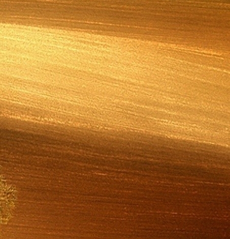 粉象生活邀请码