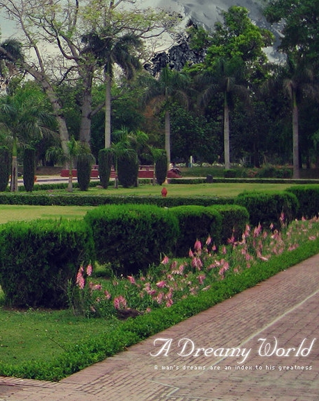 粉象生活天一团队