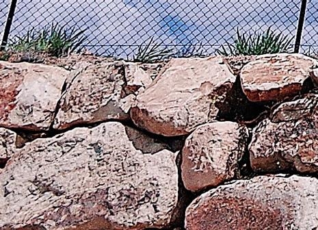 粉象生活怎么快速推广