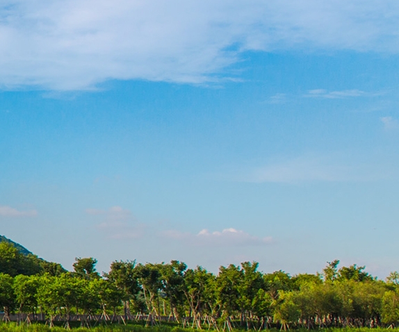 湖州app粉象生活邀请码