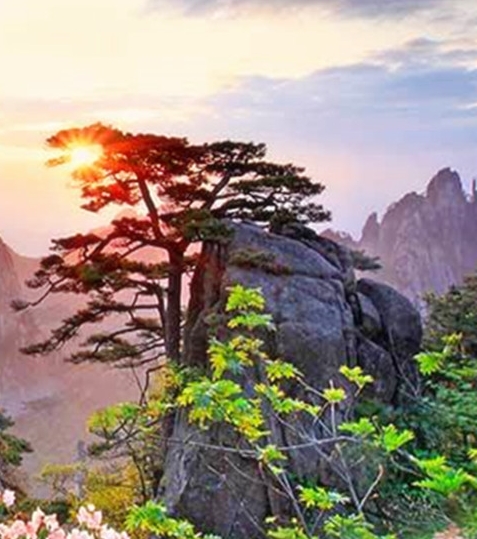 粉象生活可以赚钱吗