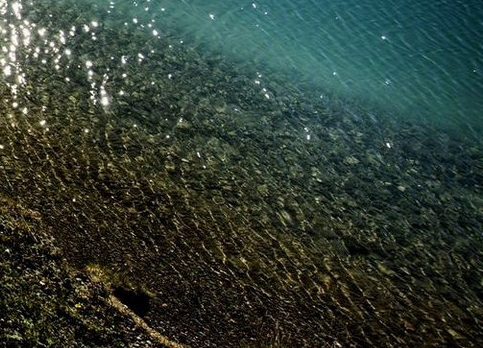 粉象生活团队怎么注册