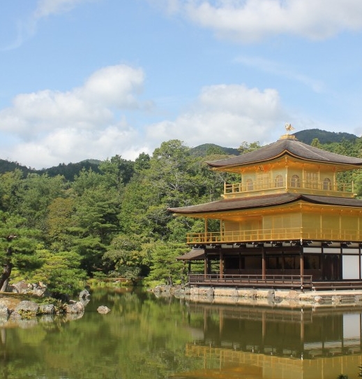 粉象生活骗局讲解图片