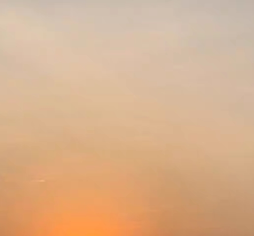 粉象生活公司简介