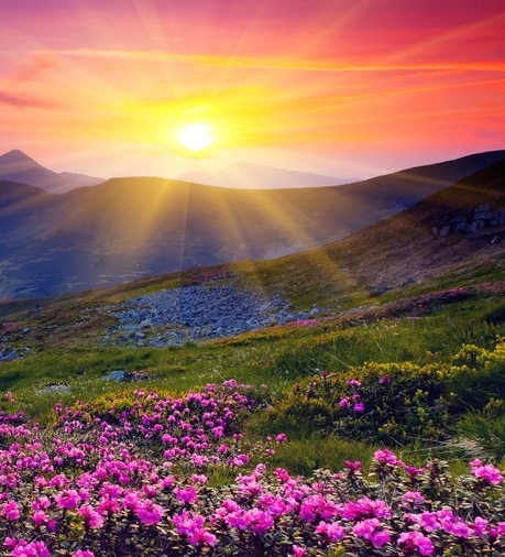 惠生活怎么开店