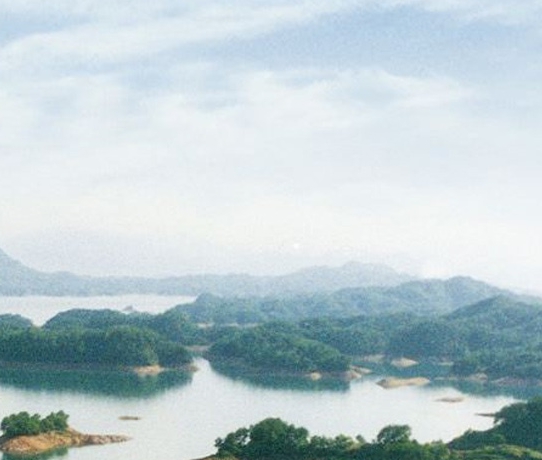 粉象生活真的可以赚钱有风险吗