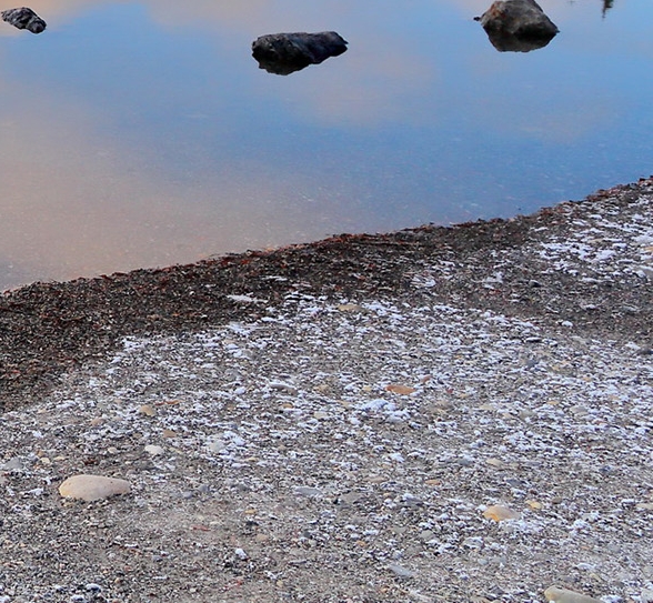 菏泽粉象生活佣金